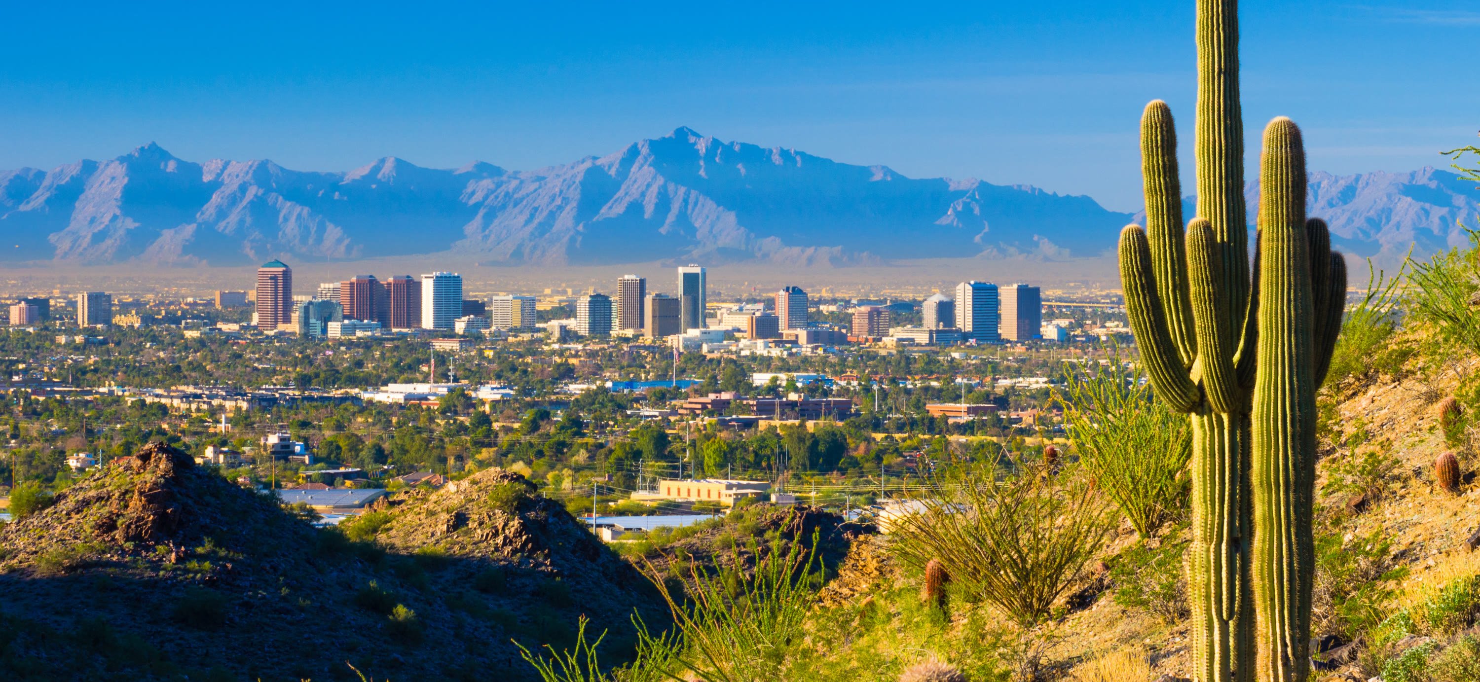 Scavenger Hunt in Phoenix
