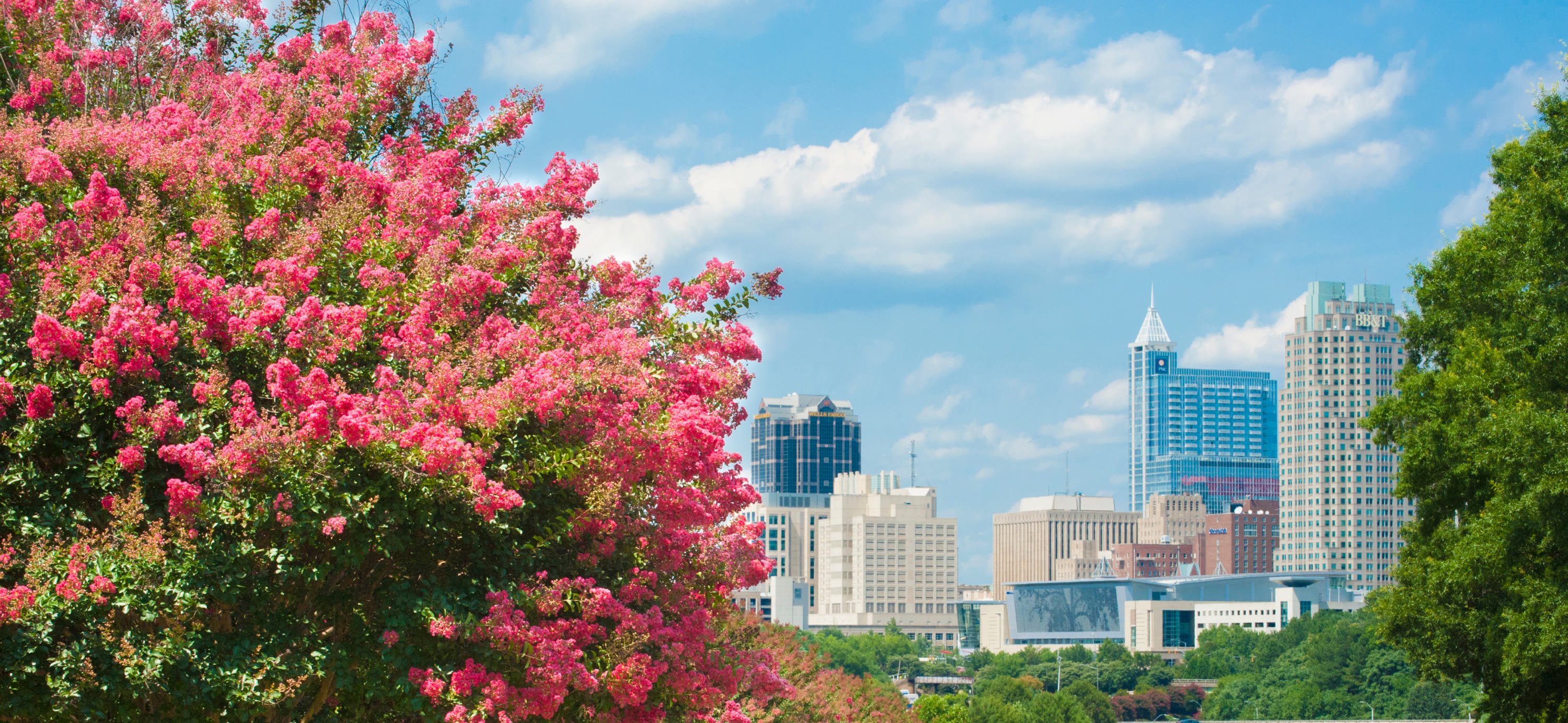 Scavenger Hunt in Raleigh