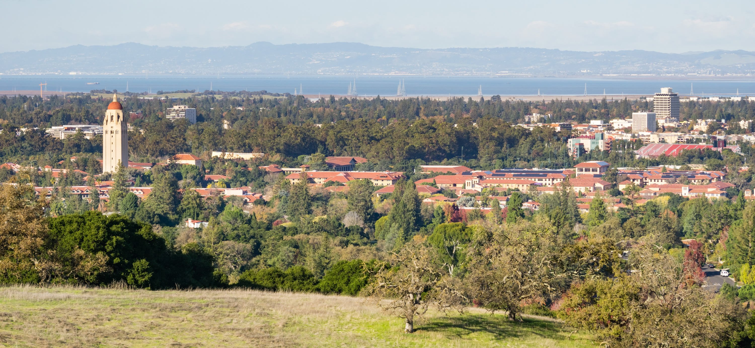 Scavenger Hunt in Palo Alto
